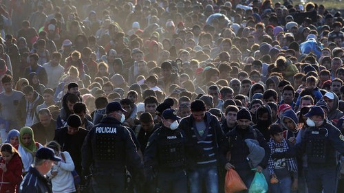 Austria seeks to repatriate 50,000 asylum seekers in the next 3 years - ảnh 1